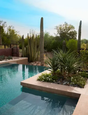 Greey Pickett - Landscape Design in Scottsdale, AZ