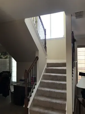Double W Painting - Carpet Installation in Mansfield, TX