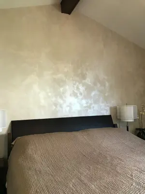 Lake Zurich Faux Design Studio - House Painting Services in Lake Zurich, IL