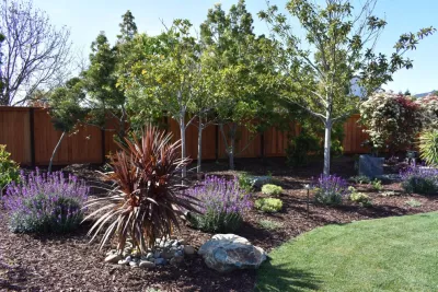 Grimes Natural Landscape - Landscape Construction in Los Altos, CA