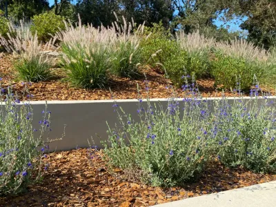 Grimes Natural Landscape - Landscape Construction in Los Altos, CA