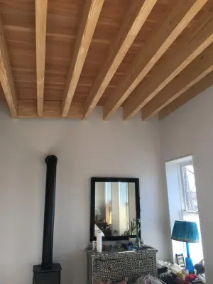 DMJ Flores Painting - House Painting Services in Brooklyn, NY