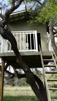 Fresh Coat of South Austin - House Painting Services in Buda, TX