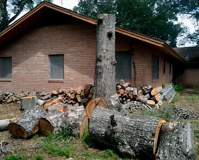 Houston Lawn Care And Landscape Services - Landscape Construction in Richmond, TX