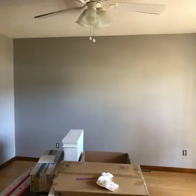 Revision — House Painting Services project by Prairie State Painters, LLC