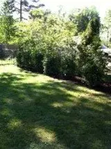 Dave's Painting and Landscaping - Handyman Services in Erie, PA