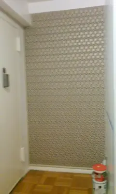 bkny Painting Wallcoverings — House Painting Services project by Bkny Painting