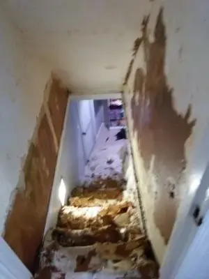 Wallcovering Stripping — House Painting Services project by William Buckham Painting, LLC