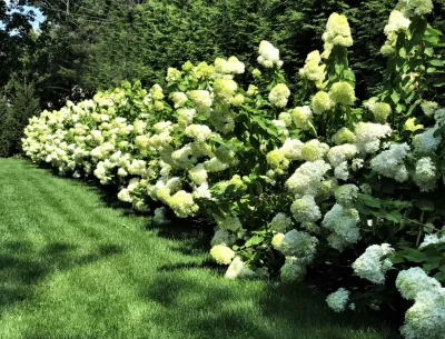 Colorful Formal — Landscape Design project by Harmony Design Group in Westfield