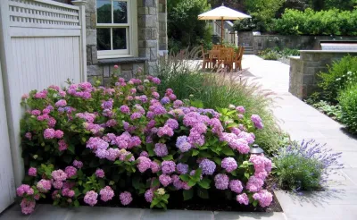 Classic Design — Landscape Design project by Harmony Design Group