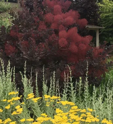 Heaven & Earth Landscape Design - Patio Design & Installation in Menlo Park, CA