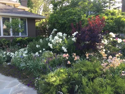 Heaven & Earth Landscape Design - Patio Design & Installation in Menlo Park, CA