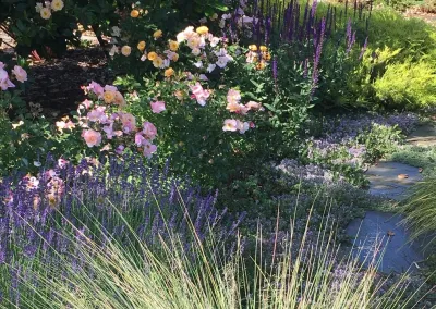 Heaven & Earth Landscape Design - Patio Design & Installation in Menlo Park, CA