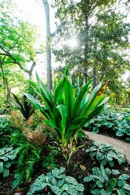 Hogue Landscape Services - Drip Irrigation System Installation in Houston, TX