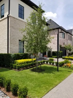 Hogue Landscape Services - Drip Irrigation System Installation in Houston, TX