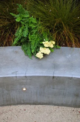 Ian Moore Design - Drought-Resistant Lawn Installation in Berkeley, CA