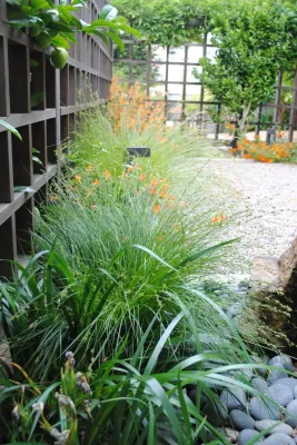 Ian Moore Design - Drought-Resistant Lawn Installation in Berkeley, CA