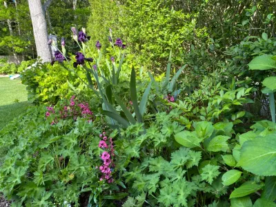 Iris Kaplow Landscapes, Inc. - Garden Remodeling in New York, NY