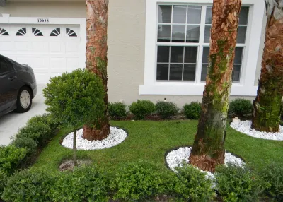 Jaguar Garden Designs - Tree & Shrub Care in Boca Raton, FL