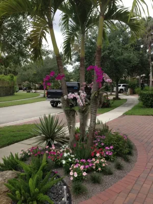 Jaguar Garden Designs - Tree & Shrub Care in Boca Raton, FL