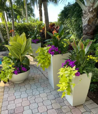 Jaguar Garden Designs - Tree & Shrub Care in Boca Raton, FL