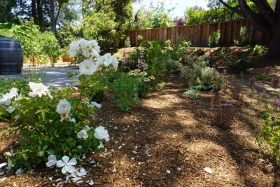 Jennifer Bromme Landscape Design - Landscape Design in Pacifica, CA