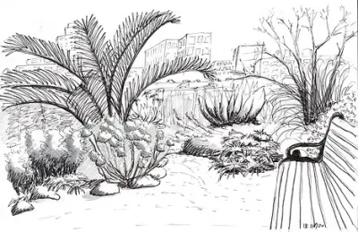 Hand Drawings — Landscape Design project by Jennifer Bromme Landscape Design