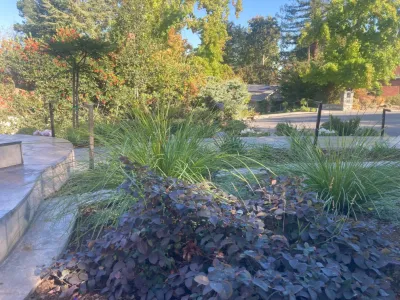 Front Yard Landscape — Landscape Design project by Jennifer Bromme Landscape Design in Pacifica