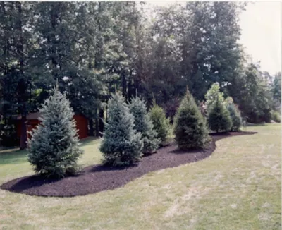 JLC Landscaping - Garden Remodeling in Mentor, OH