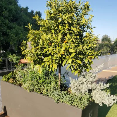 JMS Design Associates - Garden Remodeling in Beverly Hills, CA