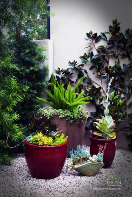 JMS Design Associates - Garden Remodeling in Beverly Hills, CA