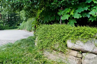 Buckhead home — Landscape Design project by Joe A. Gayle & Associates