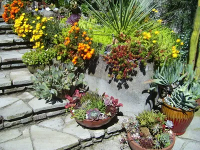 Kaiser Gardens - Garden Remodeling in San Anselmo, CA