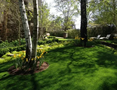Kaiser Gardens - Garden Remodeling in San Anselmo, CA