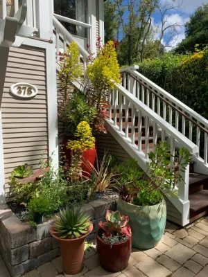 Kaiser Gardens - Garden Remodeling in San Anselmo, CA