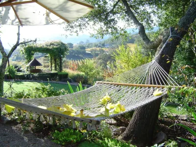 Kaiser Gardens - Garden Remodeling in San Anselmo, CA