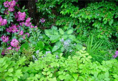 Khazzam Landscape Design LLC - Outdoor Lighting Installation in Dix Hills, NY