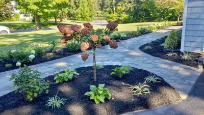 Khazzam Landscape Design LLC - Outdoor Lighting Installation in Dix Hills, NY