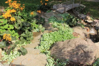 Landscape Design & Associates LLC - Outdoor Lighting Installation in Brighton, MI
