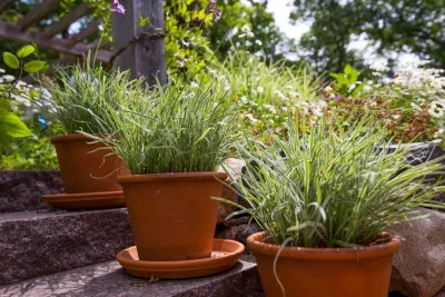 Landscape Renovations, Inc. - Garden Remodeling in Afton, MN