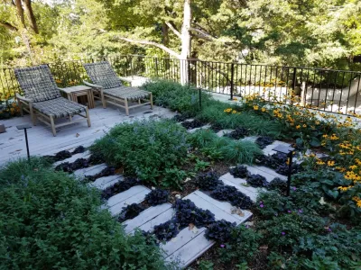 Harriet Green Roof — Landscape Design project by Landscape Renovations, Inc. in Minneapolis
