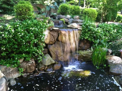 Linda Greenberg Landscape & Design, LLC - Outdoor Lighting Installation in Charleston, SC
