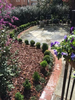 Landscape Accents Around the Patio — Landscape Design project by Linda Greenberg Landscape & Design, LLC in Charlotte
