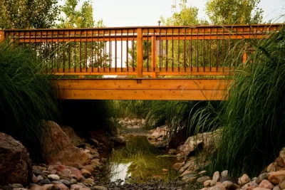 Lindgren Landscape - Landscape Maintenance in Fort Collins, CO
