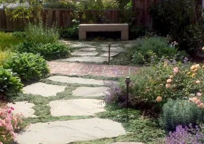 Marilee Gaffney Design - Garden Remodeling in San Francisco, CA