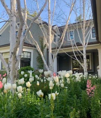 Marilee Gaffney Design - Garden Remodeling in San Francisco, CA