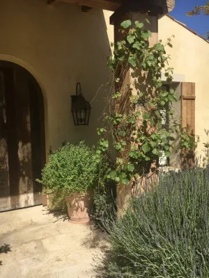 MDZA Landscape Architecture and Planning - Landscape Design in Corona Del Mar, CA
