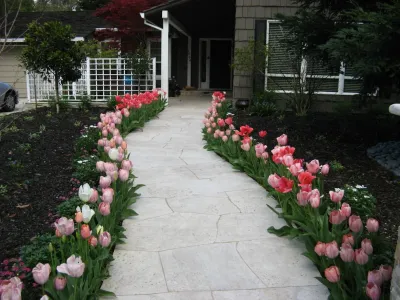 Front Yard — Landscape Design project by Michael Glassman & Associates in Sacramento