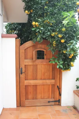 Courtyard — Landscape Design project by Michael Glassman & Associates in Fair Oaks