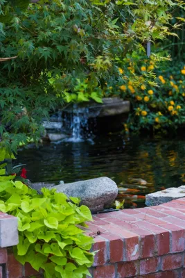 Michael Tebb Design - Patio Design & Installation in Alamo, CA